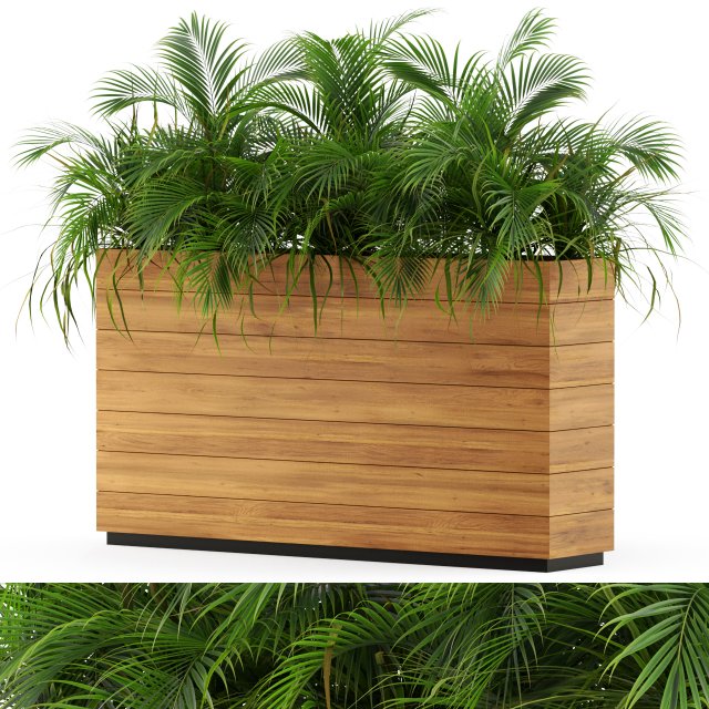 Plants collection 462 3D 模型 .c4d .max .obj .3ds .fbx .stl .blend 