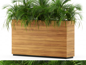 Plants collection 462 3D Model