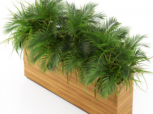 Plants collection 462 3D 模型