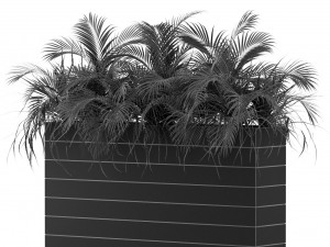 Plants collection 462 3D 模型