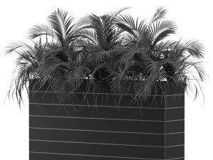 Plants collection 462 3D Model