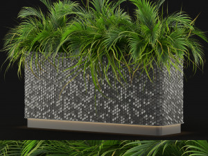 Plants collection 463 3D Model