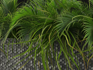 Plants collection 463 Modello 3D