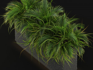 Plants collection 463 Modello 3D