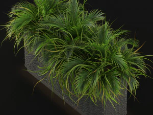 Plants collection 463 3D Model