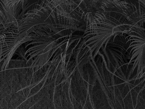 Plants collection 463 Modello 3D