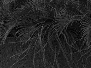 Plants collection 463 3D Model