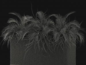 Plants collection 463 Modello 3D