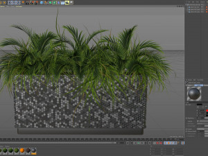 Plants collection 463 Modello 3D