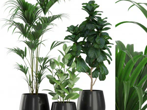 Colecci&oacute;n de plantas 464 Modelo 3D