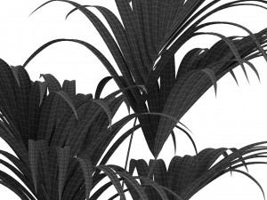 Plants collection 464 3D Model