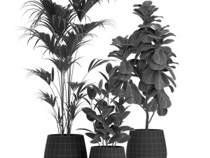 Plants collection 464 3D Model