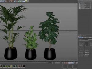 Plants collection 464 3D Model