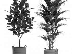 Plants collection 465 3D Model
