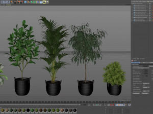 Plants collection 465 3D Model