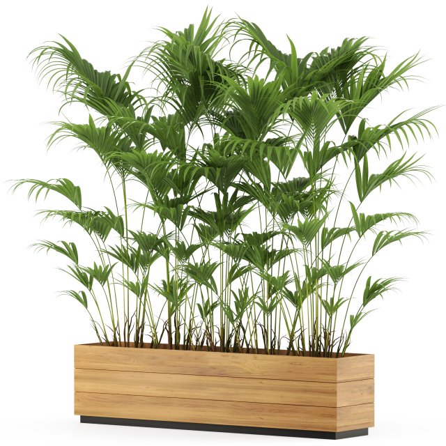 Plants collection 466 3D Model .c4d .max .obj .3ds .fbx .stl .blend 