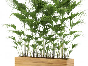 식물채집 466 3D 모델