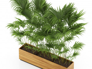 Plants collection 466 3D Model