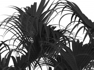 Plants collection 466 3D Model