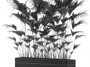 Plants collection 466 3D Model