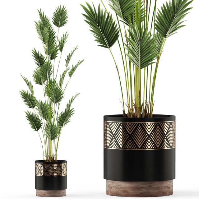 Plants collection 467 3D Model .c4d .max .obj .3ds .fbx .stl .blend 