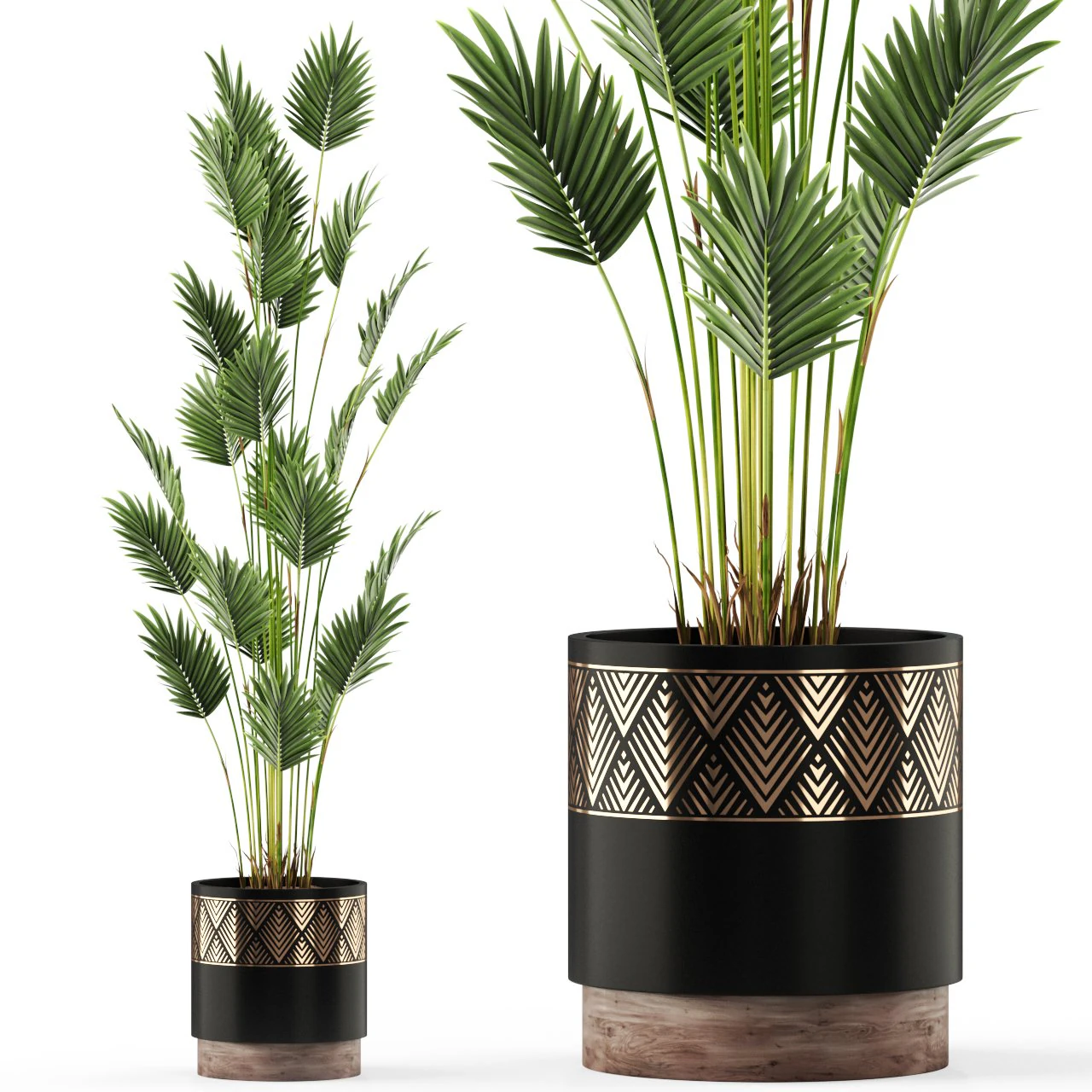 Plants collection 467 3D Model .c4d .max .obj .3ds .fbx .stl .blend