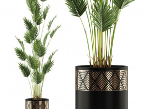 Plants collection 467 3D 모델