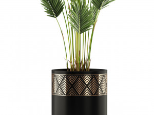 Plants collection 467 3D Model