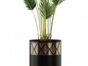 Plants collection 467 3D Model