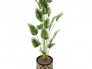 Plants collection 467 3D Model