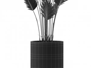 Plants collection 467 3D Model