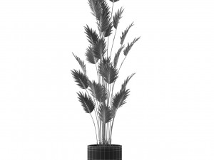 Plants collection 467 3D Model