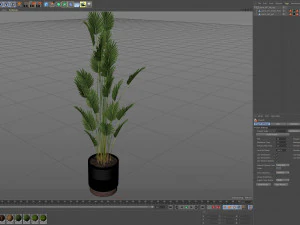 Plants collection 467 3D Model