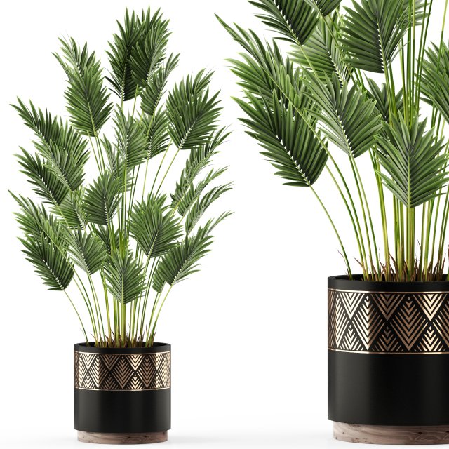 Plants collection 468 Model 3D .c4d .max .obj .3ds .fbx .stl .blend 