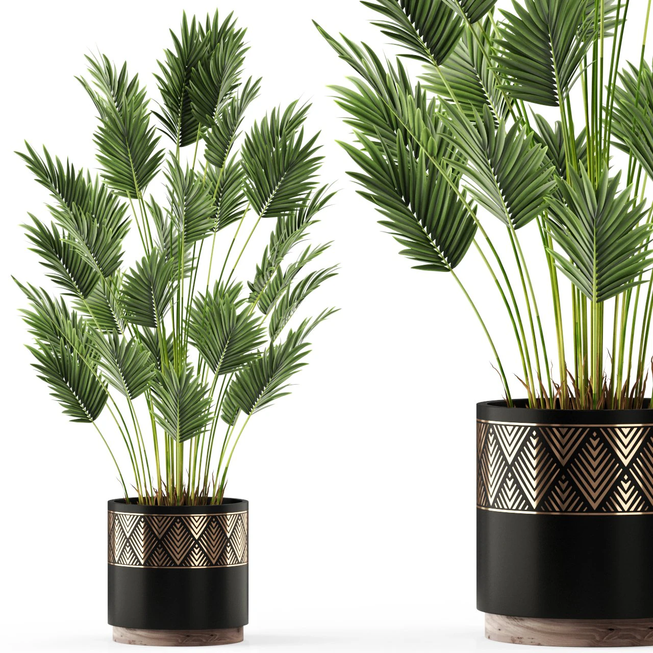 Plants collection 468 3D Model .c4d .max .obj .3ds .fbx .stl .blend