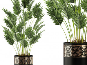 Plants collection 468 3D Model