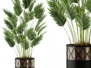 Bitki koleksiyonu 468 3D Model