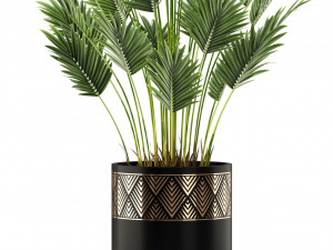 Plants collection 468 Model 3D
