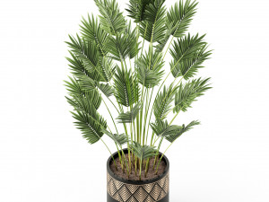 Plants collection 468 Model 3D