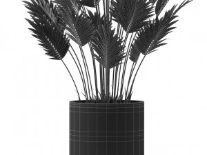 Plants collection 468 3D Model
