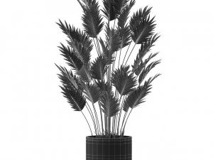 Plants collection 468 3D Model