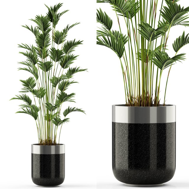 Plants collection 469 3D Model .c4d .max .obj .3ds .fbx .stl .blend 