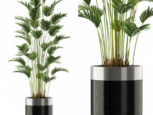 Plants collection 469 3D-Modell