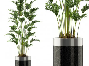 식물채집 469 3D 모델