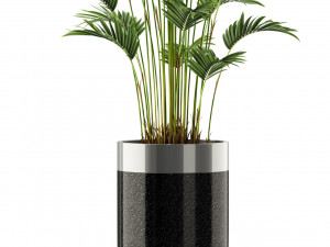 Plants collection 469 3D Model