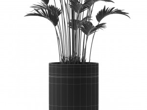 Plants collection 469 3D Model