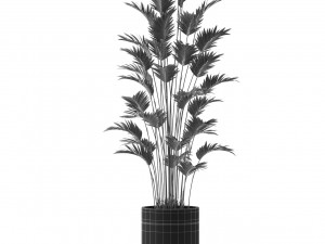 Plants collection 469 3D Model