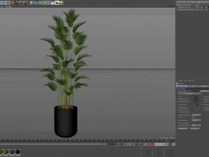 Plants collection 469 3D Model
