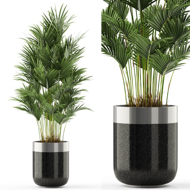 Plants collection 470 Modèle 3D .c4d .max .obj .3ds .fbx .stl .blend 