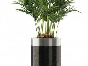 Plants collection 470 Modèle 3D